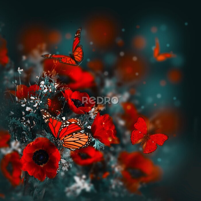 Sticker  Champ de coquelicots et de l'herbe verte et le papillon