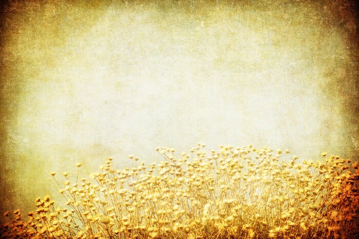 Sticker  Champ sur fond vintage