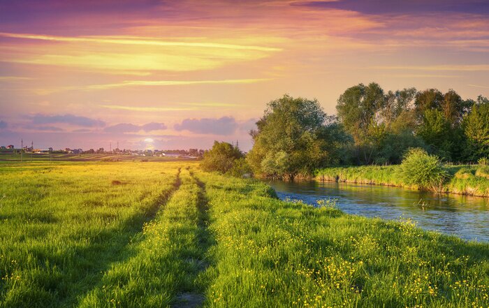 Sticker  Champs de rivière et ciel rose