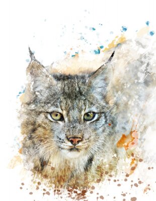 Chat graphique à l'aquarelle