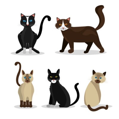 Sticker  Chats noirs, bruns et biscuits dans diverses poses graphiques