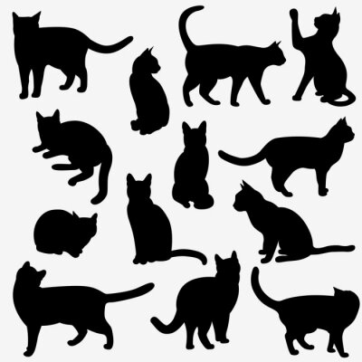 Sticker  Chats noirs et blancs dans différentes poses