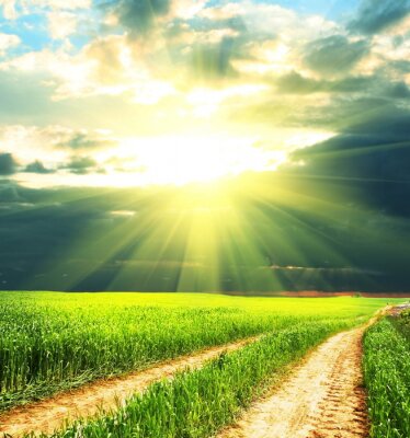 Chemin champêtre au soleil