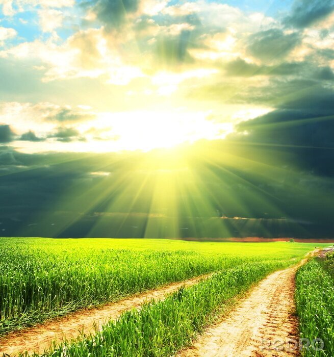 Sticker  Chemin champêtre au soleil