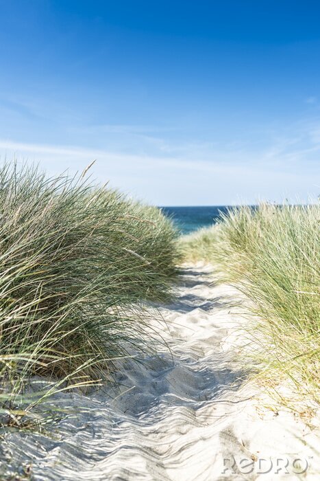 Sticker  Chemin d'accès à la plage