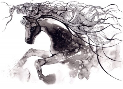 Papier peint  Cheval