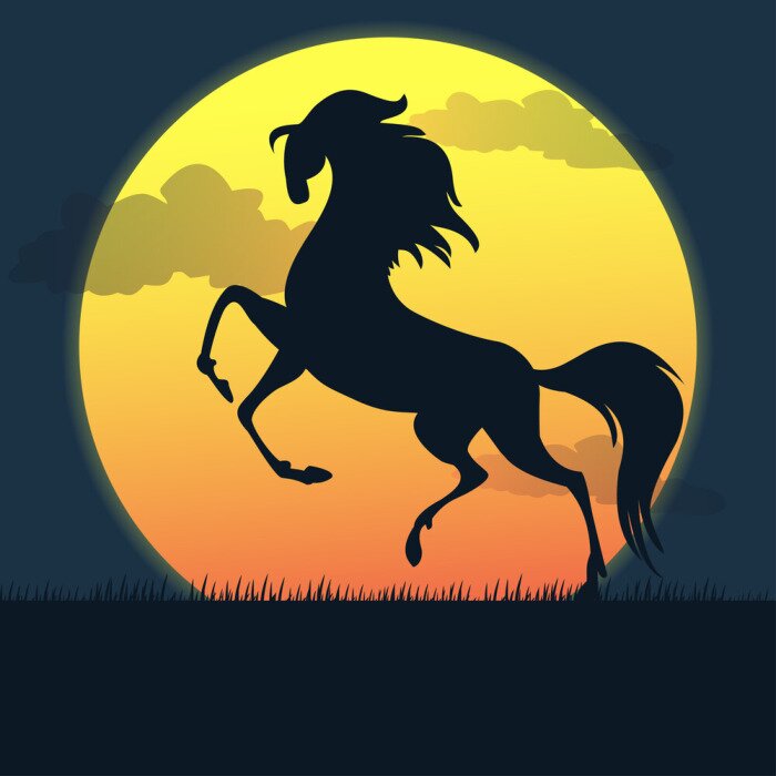 Sticker  Cheval au coucher du soleil