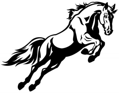 Sticker  cheval de saut blanc noir