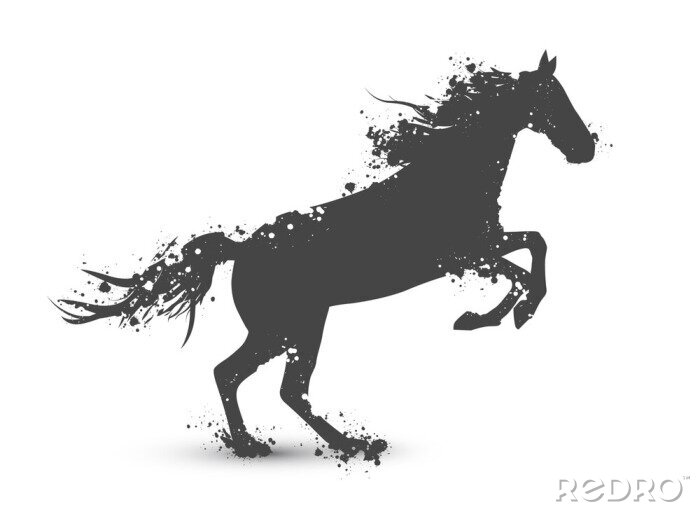 Sticker  Cheval debout image graphique