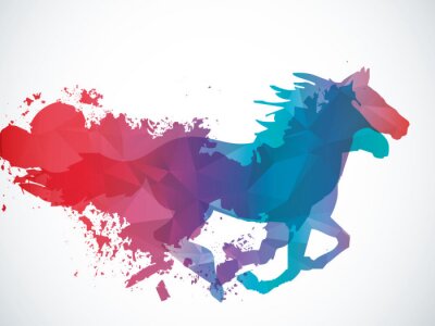 Sticker  Chevaux émergeant de taches colorées