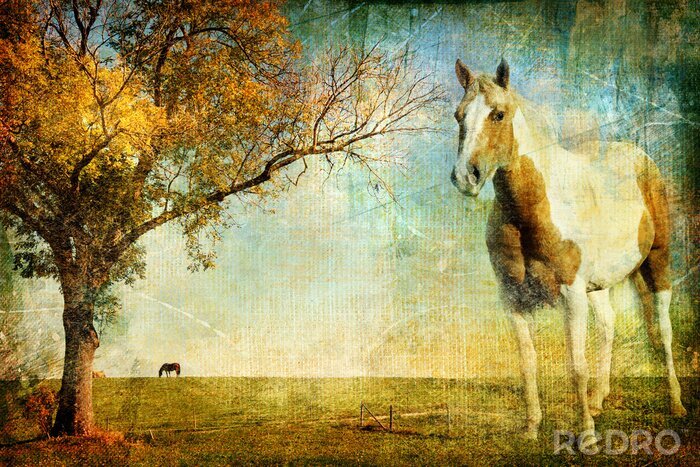 Sticker  Chevaux rétro dans la clairière