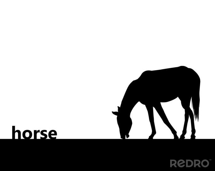 Sticker  Chevaux silhouette noire d'un cheval avec la tête baissée