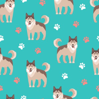 Chiens huskys sur fond turquoise