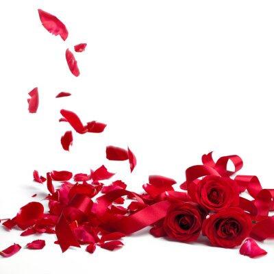 Sticker  Chute de pétales de roses rouges
