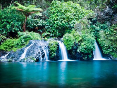 Chutes d'eau et verdure