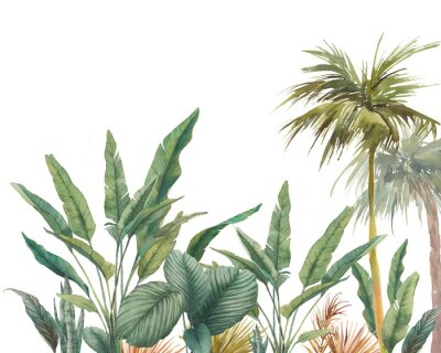 Sticker  Cime des arbres exotiques