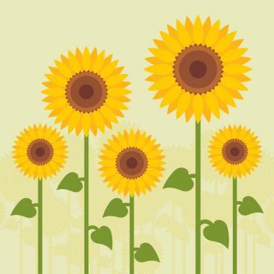Sticker  Cinq tournesols dans l'illustration