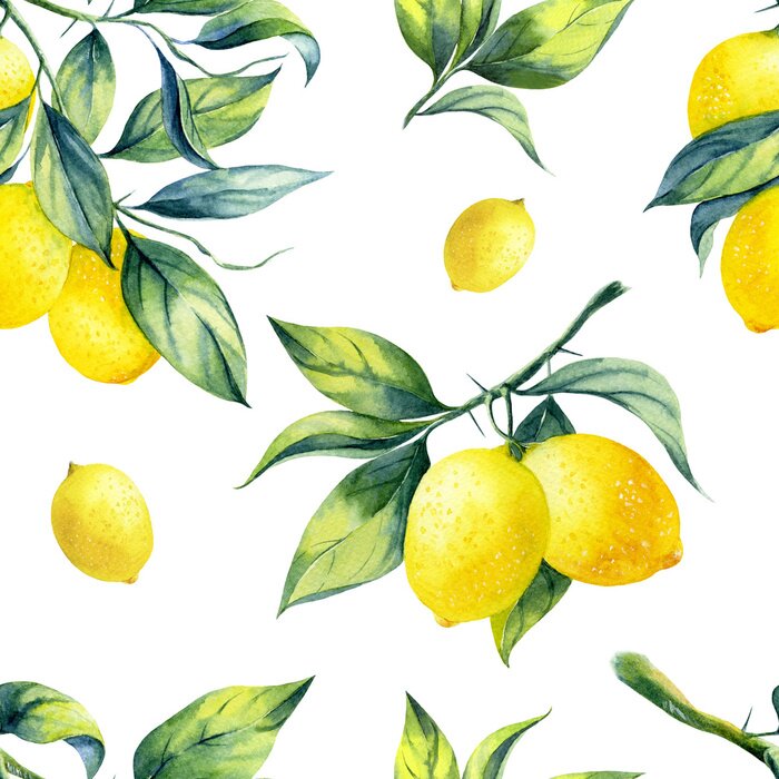 Sticker  Citrons aquarelles avec des feuilles sur fond blanc