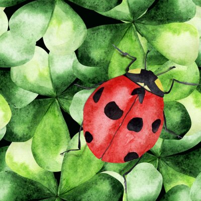 Sticker  Coccinelle assise sur des trèfles verts, peinte à l'aquarelle