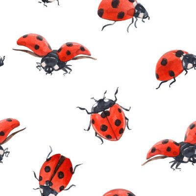 Sticker  Coccinelles aquarellées sur fond blanc