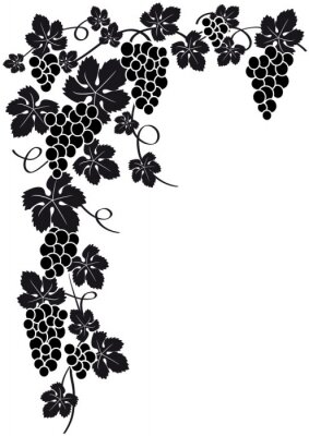 Sticker  Coin Silhouette grappe de raisin