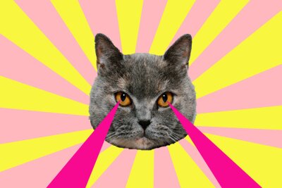 Sticker  Collage abstrait avec un chat