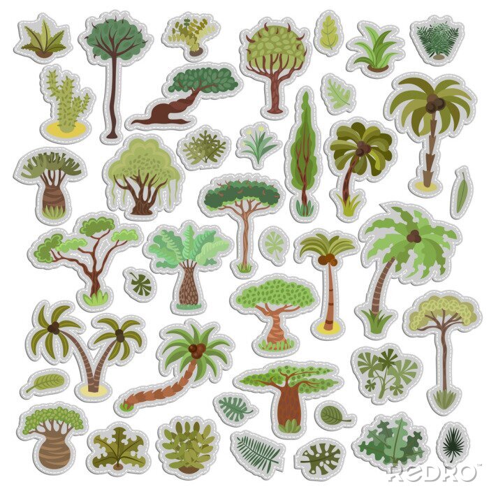 Sticker  Collection d'autocollants d'arbres tropicaux, de palmiers et d'autres plantes exotiques tropicales, illustration vectorielle autocollant défini. Arbres de la jungle de la forêt tropicale, plantes, arb