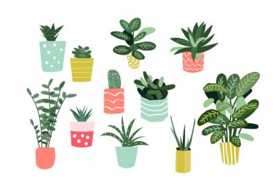 collection de plantes en pot. plantes succulentes et plantes d'intérieur. art vectoriel dessiné à la main. Ensemble de dessin animé de vecteur de plantes d'intérieur de maison.