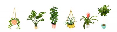 Sticker  collection de plantes en pot. plantes succulentes et plantes d'intérieur. art vectoriel dessiné à la main. Ensemble de dessin animé de vecteur de plantes d'intérieur de maison.