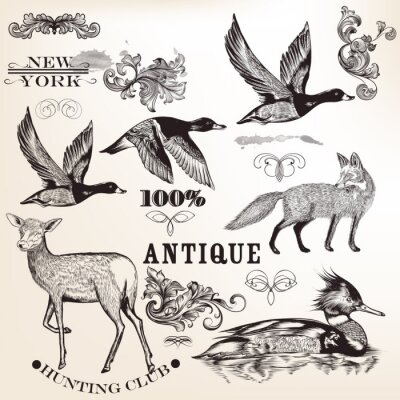 Sticker  Collection de vecteur animaux dessinés à la main et fioritures