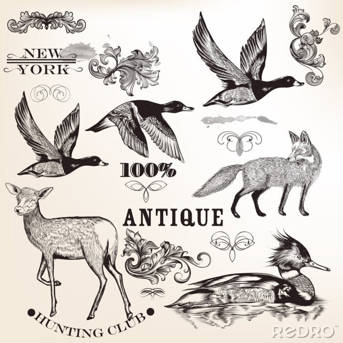 Sticker  Collection de vecteur animaux dessinés à la main et fioritures