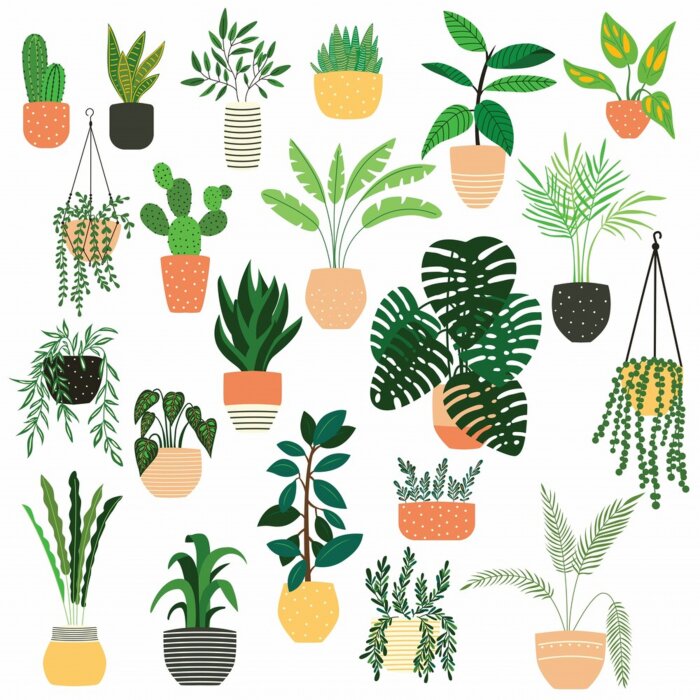 Sticker  Collection of hand drawn indoor house plants on white background. Collection of potted plants. Colorful flat vector illustration