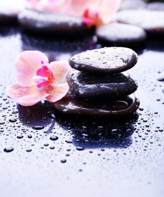 Sticker  Composition avec une belle floraison d'orchidées avec des gouttes d'eau et