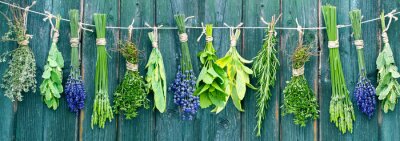 Composition d'herbes aromatiques sur planches