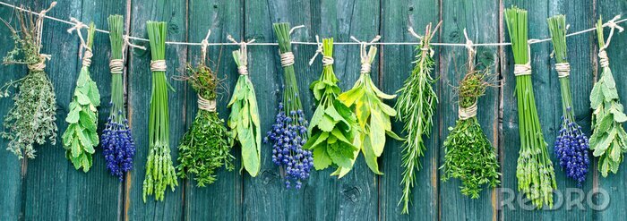 Sticker  Composition d'herbes aromatiques sur planches