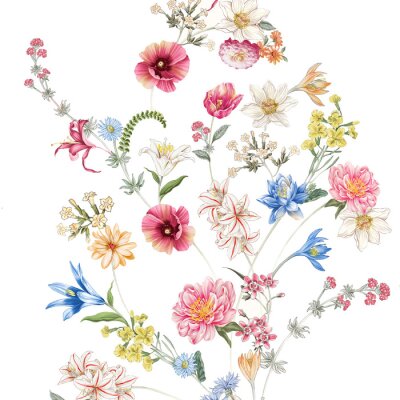 Sticker  Composition de fleurs sauvages colorées
