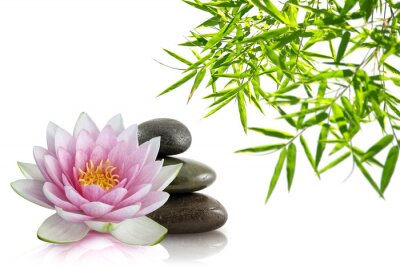 Sticker  composition Zen