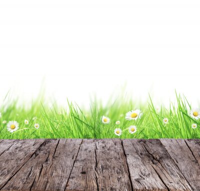 Sticker  concept de prairie de printemps avec des planches de bois et fond blanc