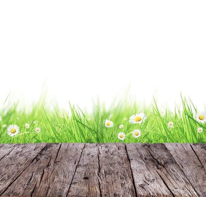 Sticker  concept de prairie de printemps avec des planches de bois et fond blanc