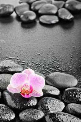 Sticker  concept de Spa