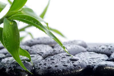 Sticker  concept de Spa