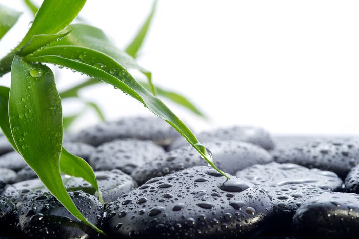 Sticker  concept de Spa