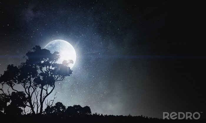 Sticker  Contexte de nuit d'été