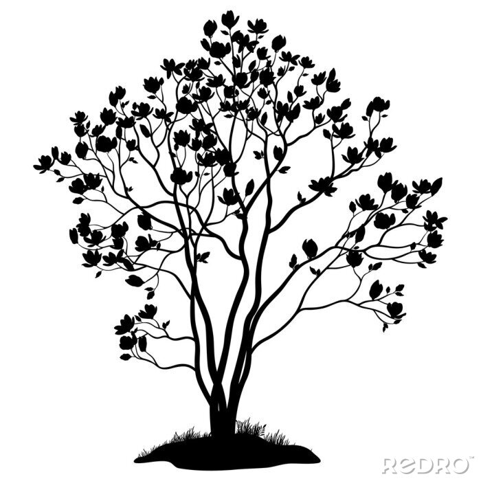 Sticker  Contour noir avec un magnolia