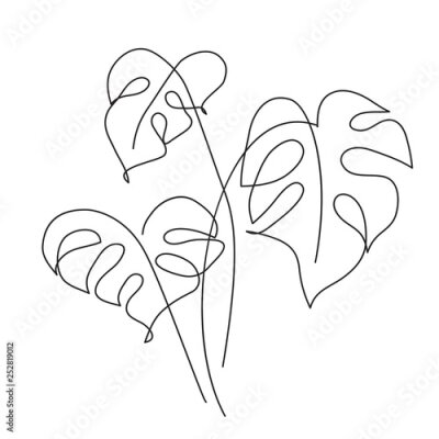 Poster  Contours de feuilles de monstera sur fond blanc