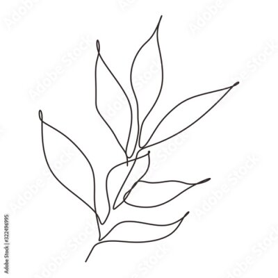 Poster  Contours de feuilles noires sur fond blanc
