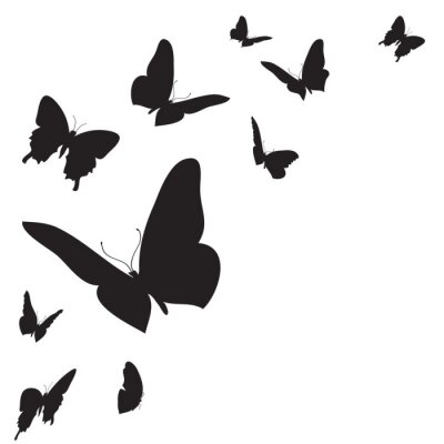 Sticker  Contours noirs de papillons sur fond blanc