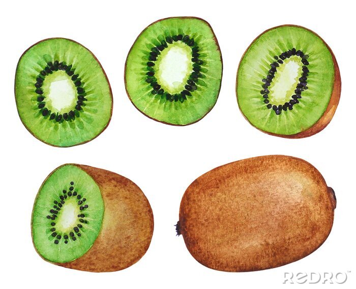 Sticker  Coolection of watercolor kiwi fruits