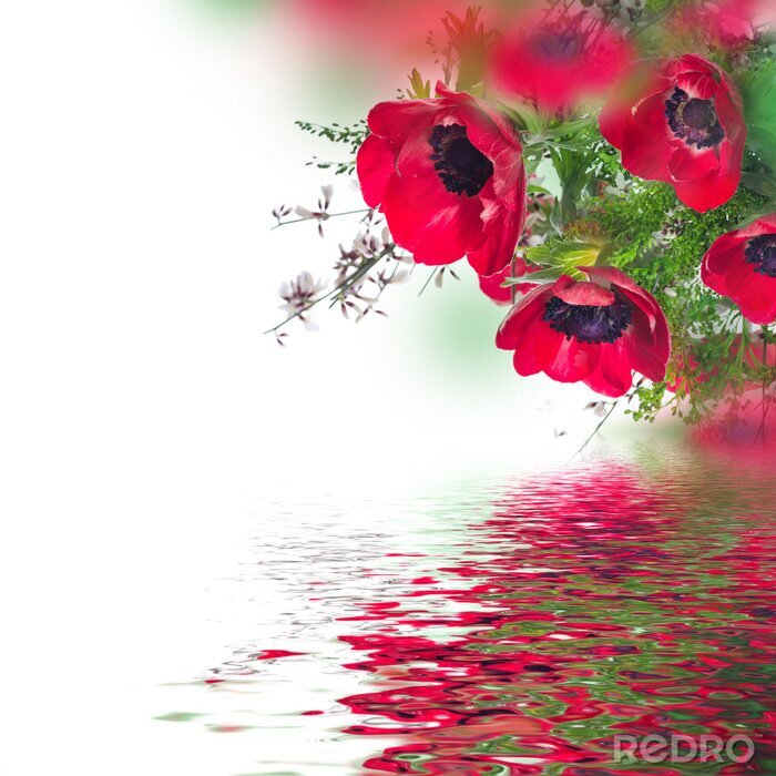 Sticker  Coquelicots au bord de l'eau