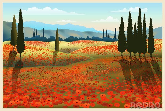 Sticker  Coquelicots rouges en Toscane